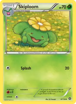 Skiploom